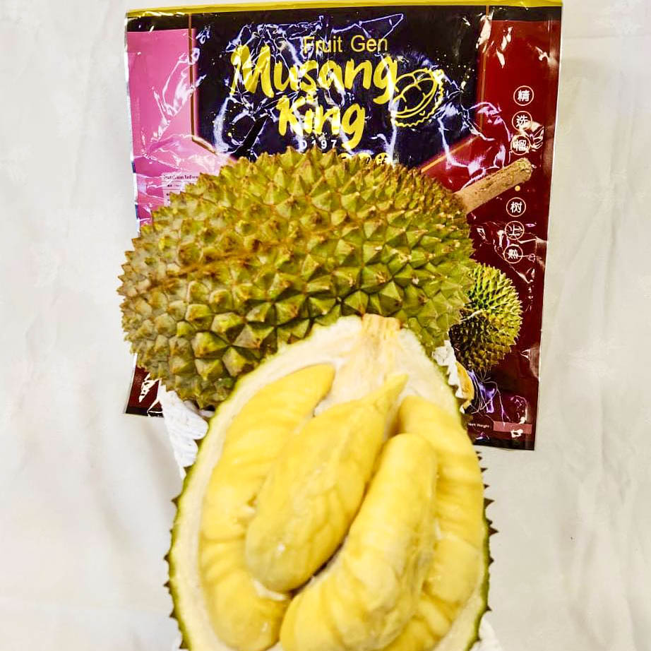 Aa Musang King Frozen Wholefruit Durian – Fishcitysydney