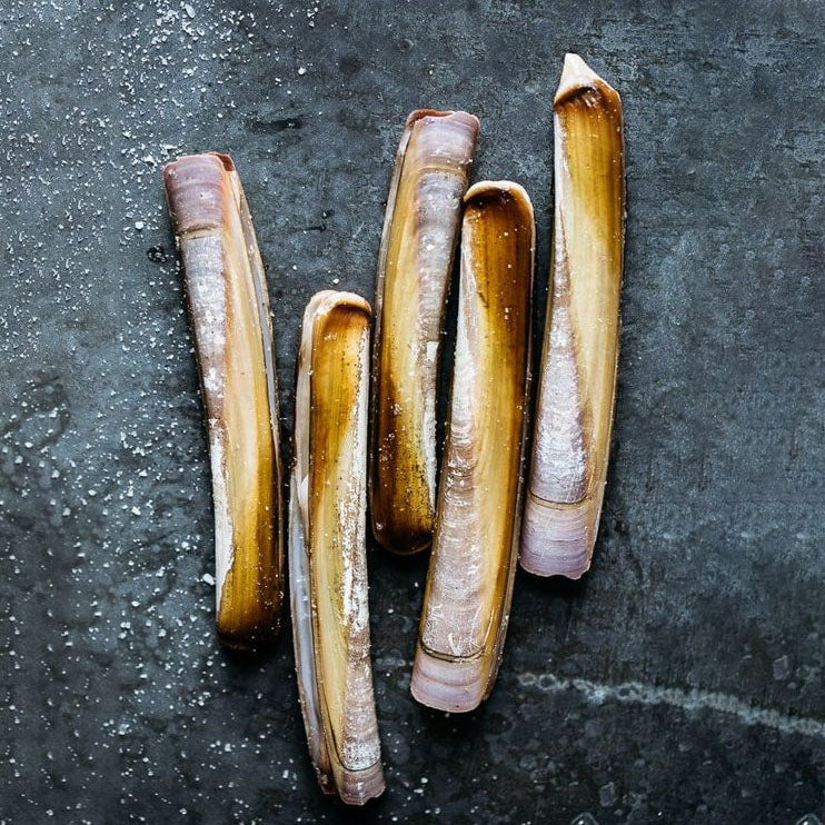 Packaged Razor Clams Razor Clams – Fishcitysydney